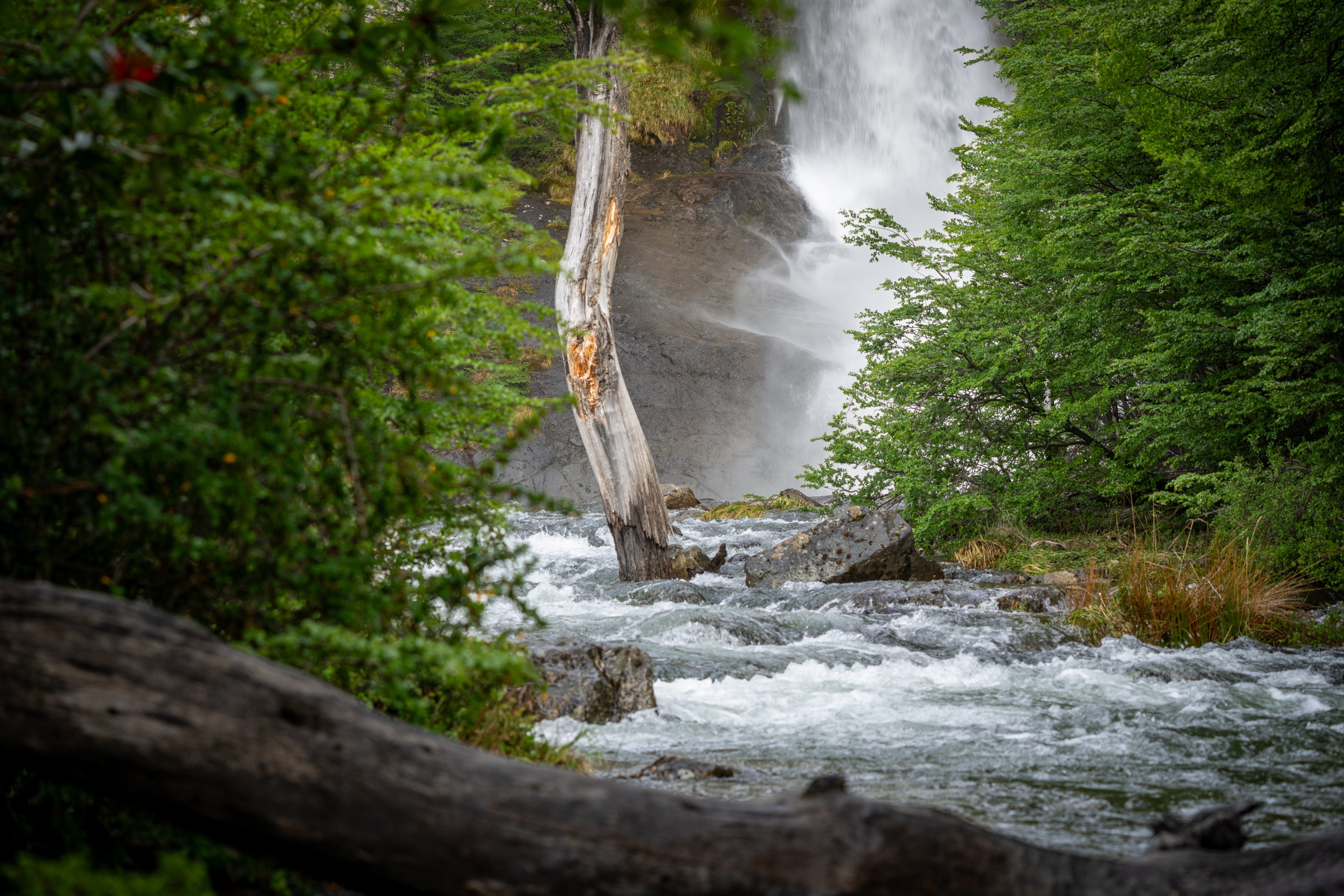Chorillo del Salto and a Race Against the Patagonian Wind