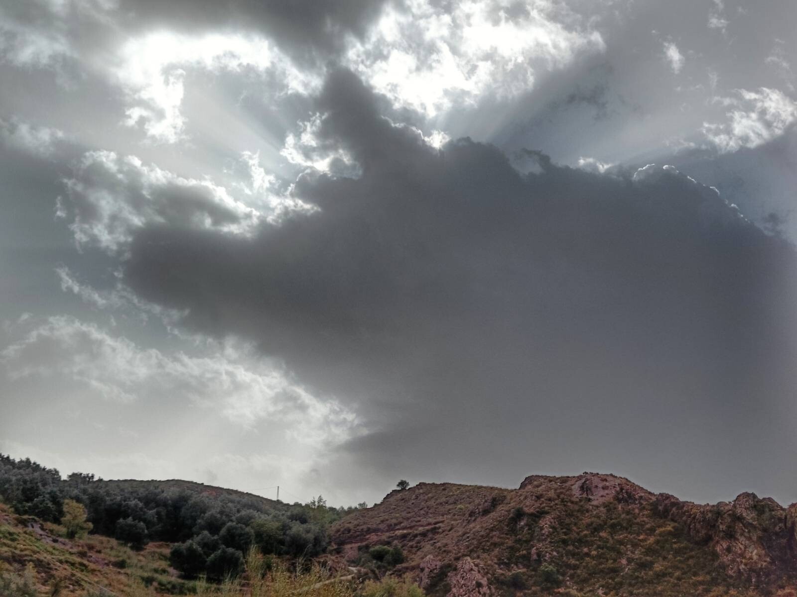 Picture of a cloud formation in the shape of a pig