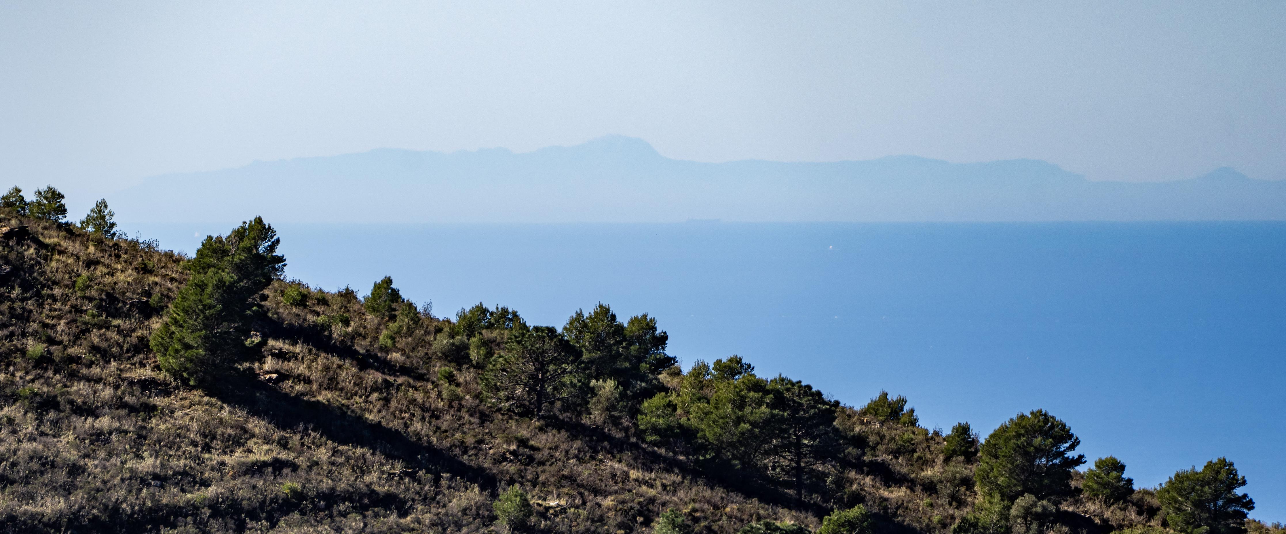 A hillside with pine trees slanting middle left to bottom right. Behind is the blue Mediterranean sea and behind that in the haze are the Riff mountains in Morocco, Africa