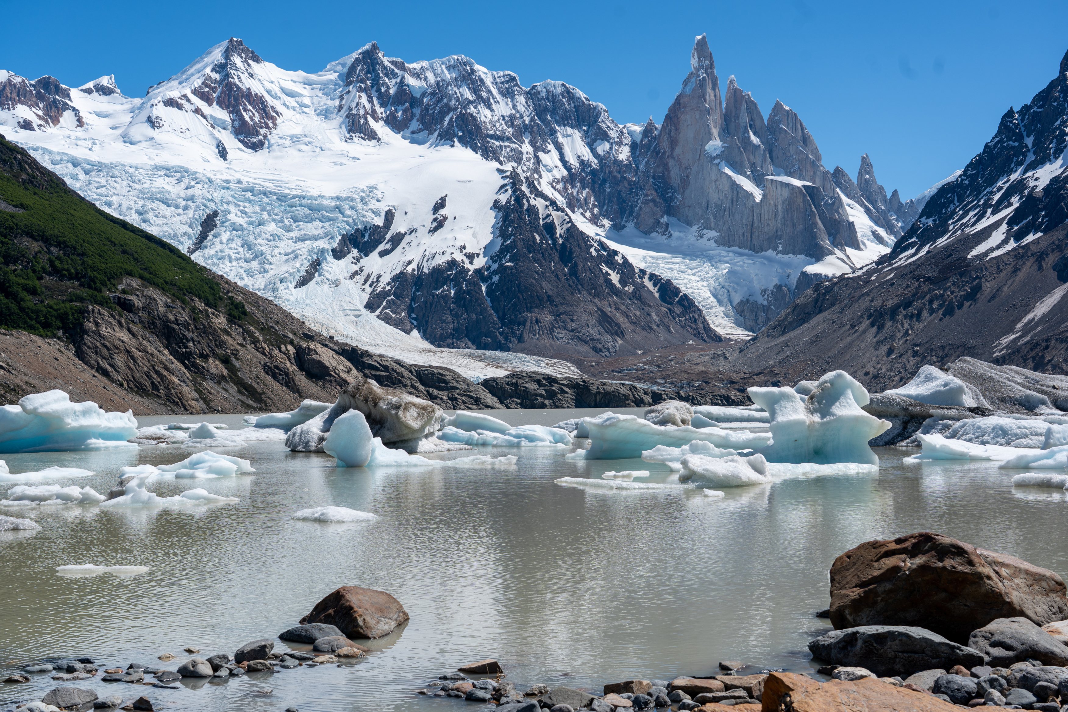 Icebergs in Laguna Torre