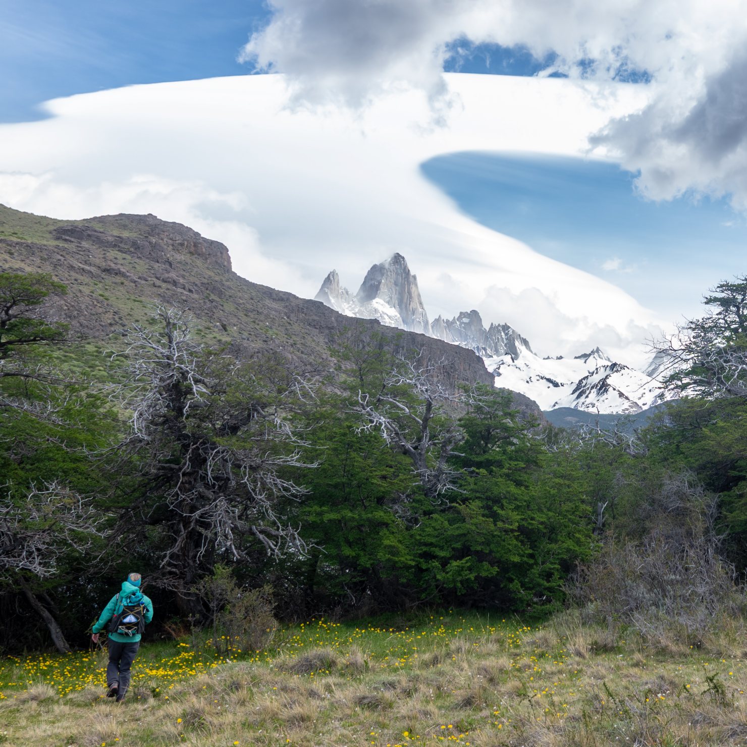 Heading back into the wind