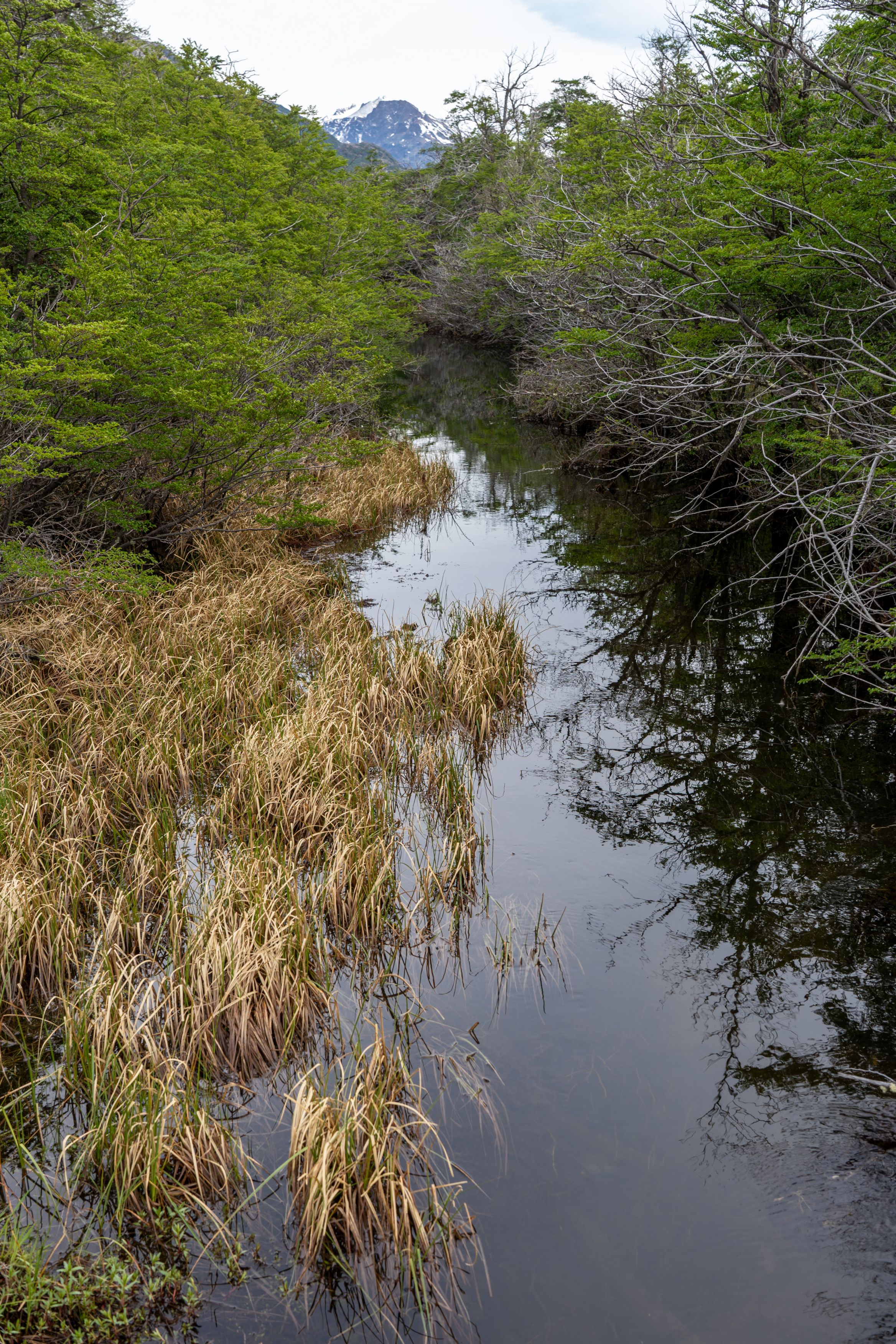 Bridge over a small flooded tributary