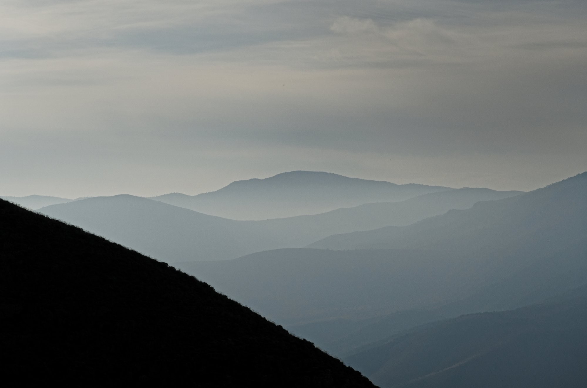 Rolling hills enveloped in mist