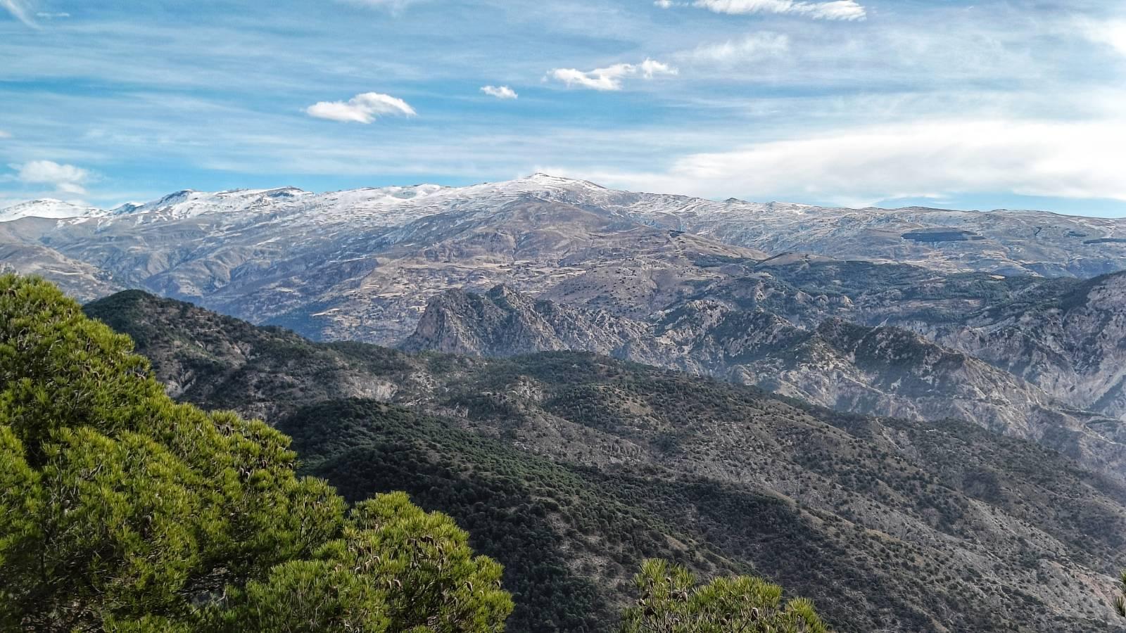 At the top a light blue winter sky with high cloud whisking through it. Below the sky are lightly snow covered mountains of the Sierra Nevada. In front of those mountains are more mountains but one looks like a human face, side view. Still coming towards the viewer are forested hills and on the front left of the picture is a green pine tree.