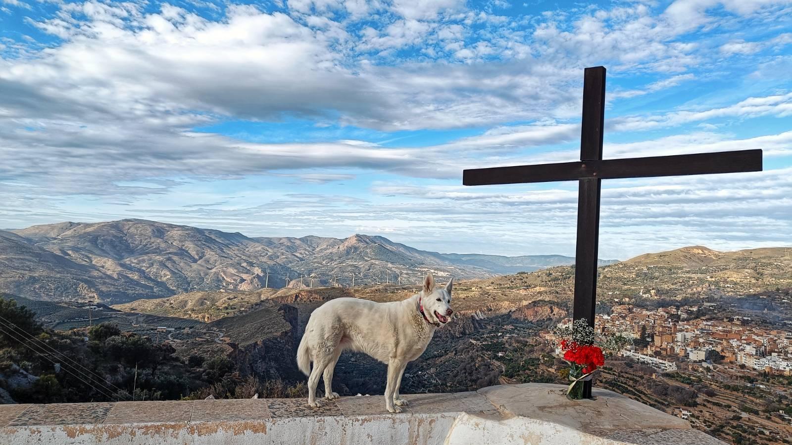 A white dog stood sideways on to the camera stood on a small wall, next to her is wooden cross with some red flowers at the base. The sky is a light blue with white clouds. To the lower right of the picture there is a Spanish village and lower left and centre behind the dog are mountains.