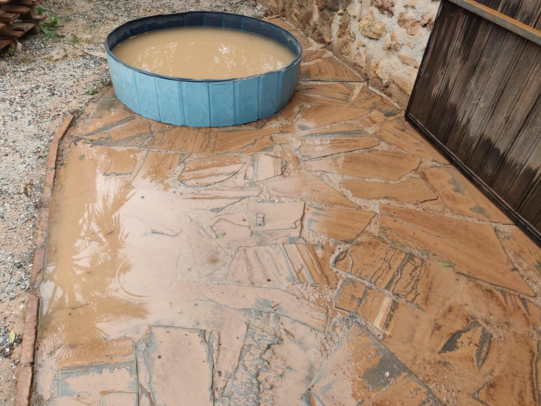 Showing a blue dog pool with muddy brown water in it. The floor around the pool is also covered in mud.